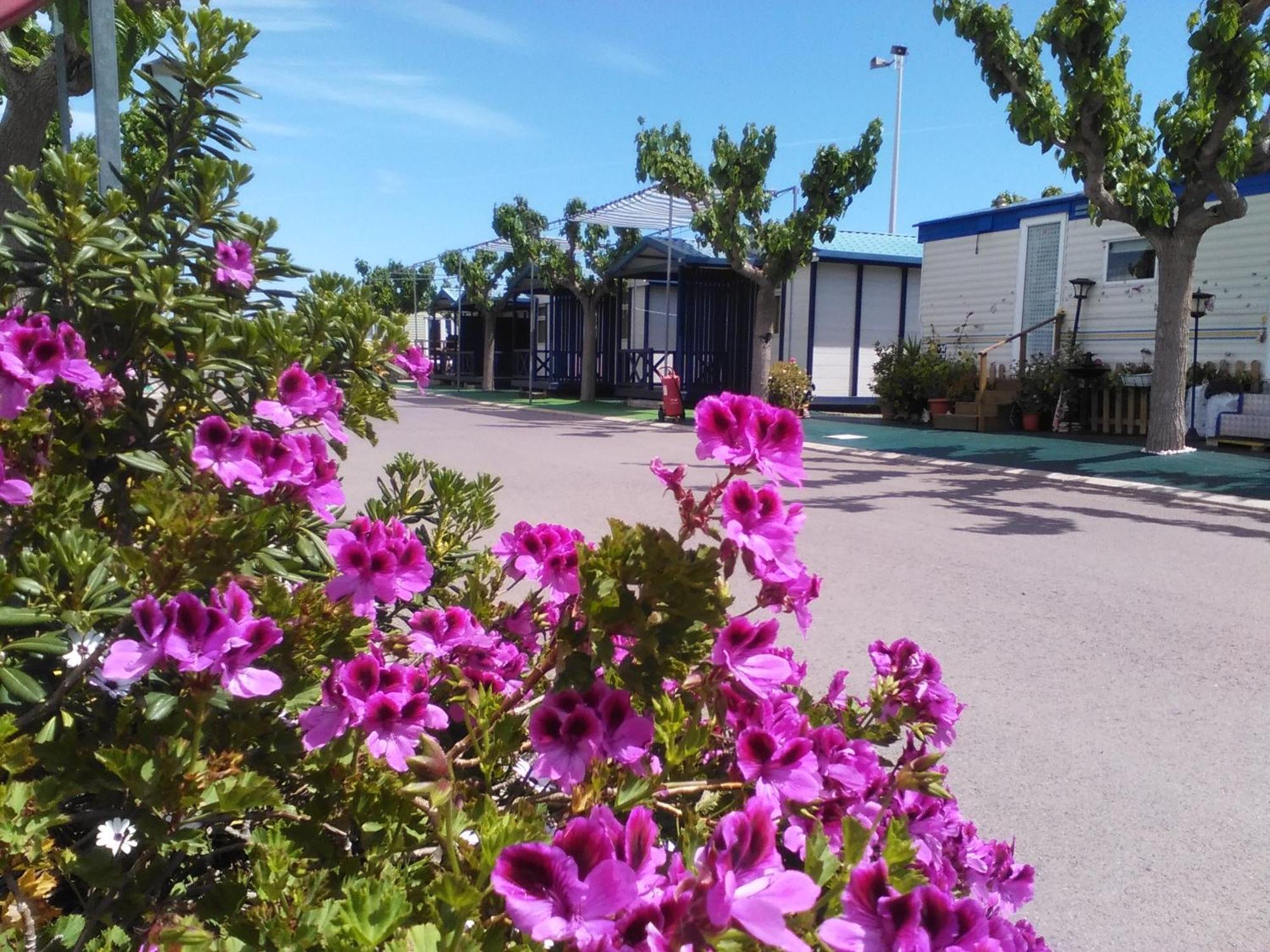 Camping Y Bungalows Monmar 몬코파르 객실 사진